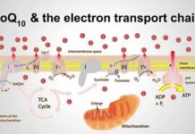 Simple molecule could prevent, alleviate pre-diabetes