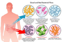 Probiotics for respiratory illness could save millions