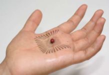 Researchers develop stretchable, touch-sensitive electronics