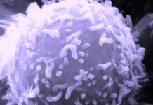 Researchers discover two-step process to thwart cancer cells