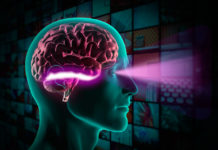 Researchers find that the brain can assign value to an object in less than a tenth of a second