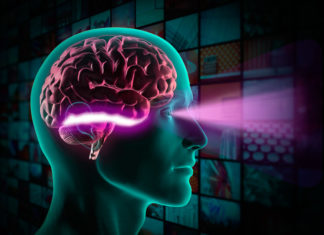 Researchers find that the brain can assign value to an object in less than a tenth of a second