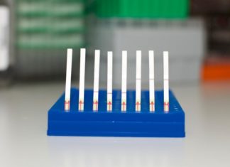 CRISPR-based diagnostic tool advanced, miniature paper test developed