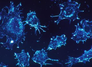 Scientists can now measure activity of key cancer cell-survival protein, an important step toward inhibiting it