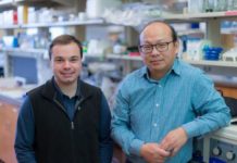 Scientists identify new target for developing precision treatment in malignant brain tumors
