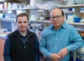Scientists identify new target for developing precision treatment in malignant brain tumors