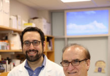 Some viruses produce insulin-like hormones that can stimulate human cells and have potential to cause disease