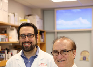 Some viruses produce insulin-like hormones that can stimulate human cells and have potential to cause disease