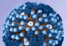 Special UV light safely kills airborne flu virus, finds study