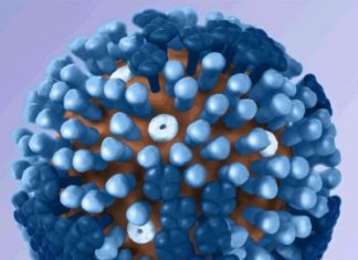 Special UV light safely kills airborne flu virus, finds study