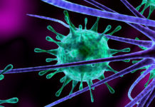 Study finds only half of infants with deadly meningitis show traditional signs of the disease