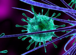 Study finds only half of infants with deadly meningitis show traditional signs of the disease