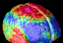Brain Scans Provide Clues For the Development of Pedophilia