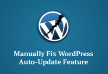 WordPress Update Breaks Automatic Update Feature – Apply Manual Update
