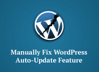 WordPress Update Breaks Automatic Update Feature – Apply Manual Update