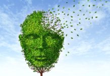 A brain chemical blamed for mental decline in old age could hold key to its reversal