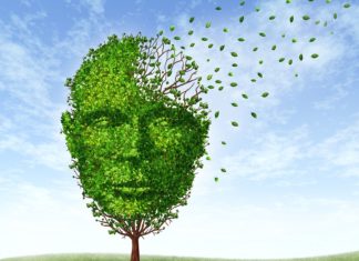 A brain chemical blamed for mental decline in old age could hold key to its reversal
