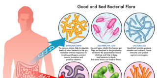 Are probiotics really useful ?