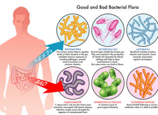 Are probiotics really useful ?