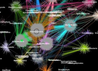 A game changer: Metagenomic clustering powered by supercomputers