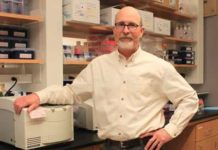 Biologists discover link between protein in brain, seizure suppression