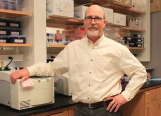 Biologists discover link between protein in brain, seizure suppression