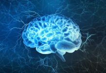 Brain Has Separate ‘Fear Circuits’ for Dealing with Immediate and Distant Threats