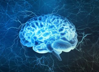 Brain Has Separate ‘Fear Circuits’ for Dealing with Immediate and Distant Threats