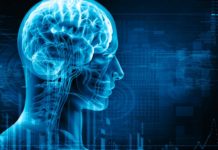 Brain Stimulation Helps Younger, Not Older, Adults’ Memory