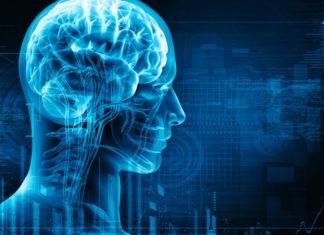 Brain Stimulation Helps Younger, Not Older, Adults’ Memory