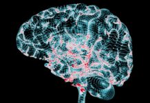 Cell therapy could improve brain function for Alzheimer’s disease