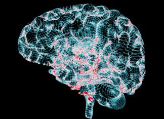Cell therapy could improve brain function for Alzheimer’s disease