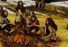 Compassion Helped Neanderthals Survive