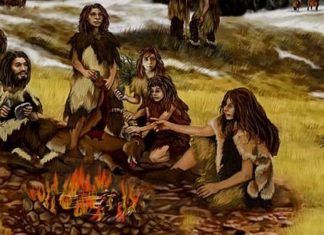 Compassion Helped Neanderthals Survive