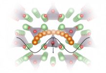 Design principles could point to better electrolytes for next-generation lithium batteries