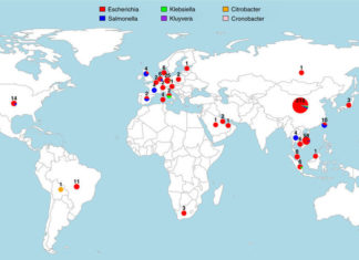 Drug-resistant gene goes from pig farms to patients worldwide