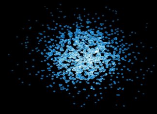 Gut microbes influence severity of intestinal parasitic infections