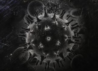 HIV begins to yield secrets of how it hides in cells