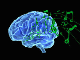 How would the brain process alien music?