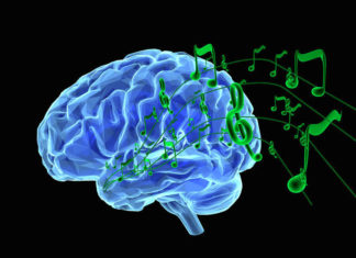How would the brain process alien music?