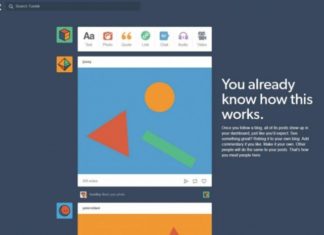 Indonesia blocks online-blogging site Tumblr over porn