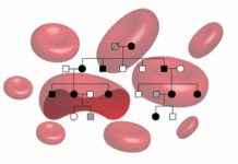 Inherited mutation leads to overproduction of EPO