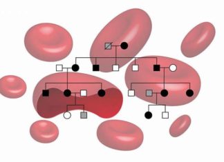 Inherited mutation leads to overproduction of EPO