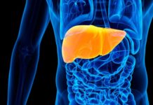 Liver study offers insights into hard-to-treat diseases