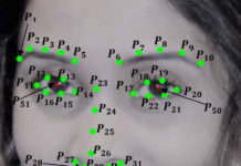 Mapping the dynamics of a smile to enable gender recognition