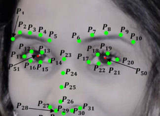 Mapping the dynamics of a smile to enable gender recognition