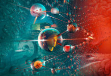 Memory Researchers Link Two Brain Regions to Conceptual Organization