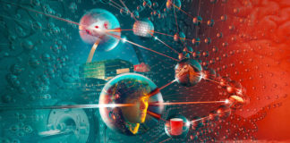 Memory Researchers Link Two Brain Regions to Conceptual Organization