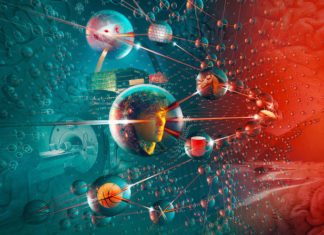 Memory Researchers Link Two Brain Regions to Conceptual Organization
