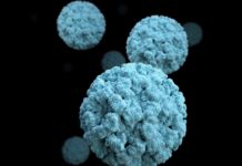 How Protect Yourself from a Norovirus Outbreak
